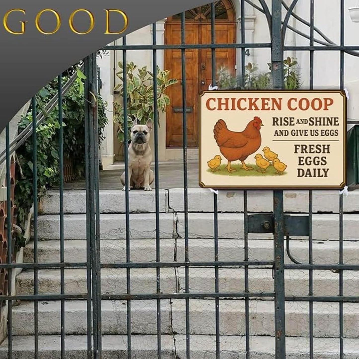 Chicken Coop Sign – Funny “Rise and Shine Give Us Eggs” Metal Plaque, Easy to Clean Aluminum Yard Sign for Fresh Eggs Daily, Rustproof, Windproof & Sturdy with Screws & Jute Rope